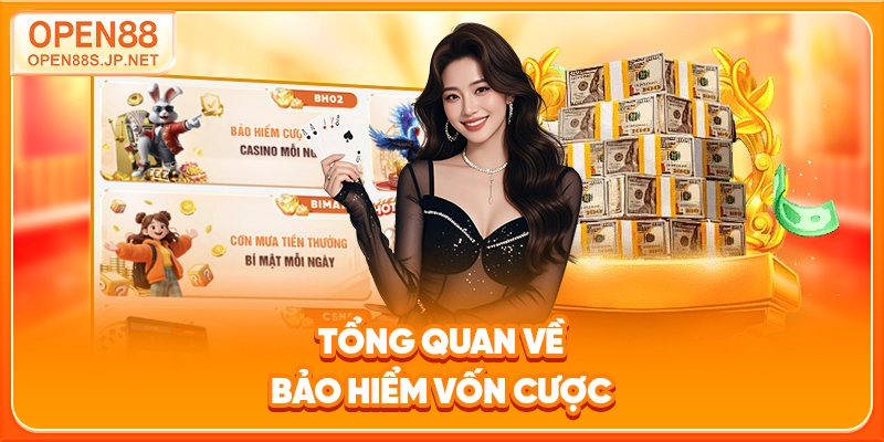 tong-quan-ve-bao-hiem-von-cuoc